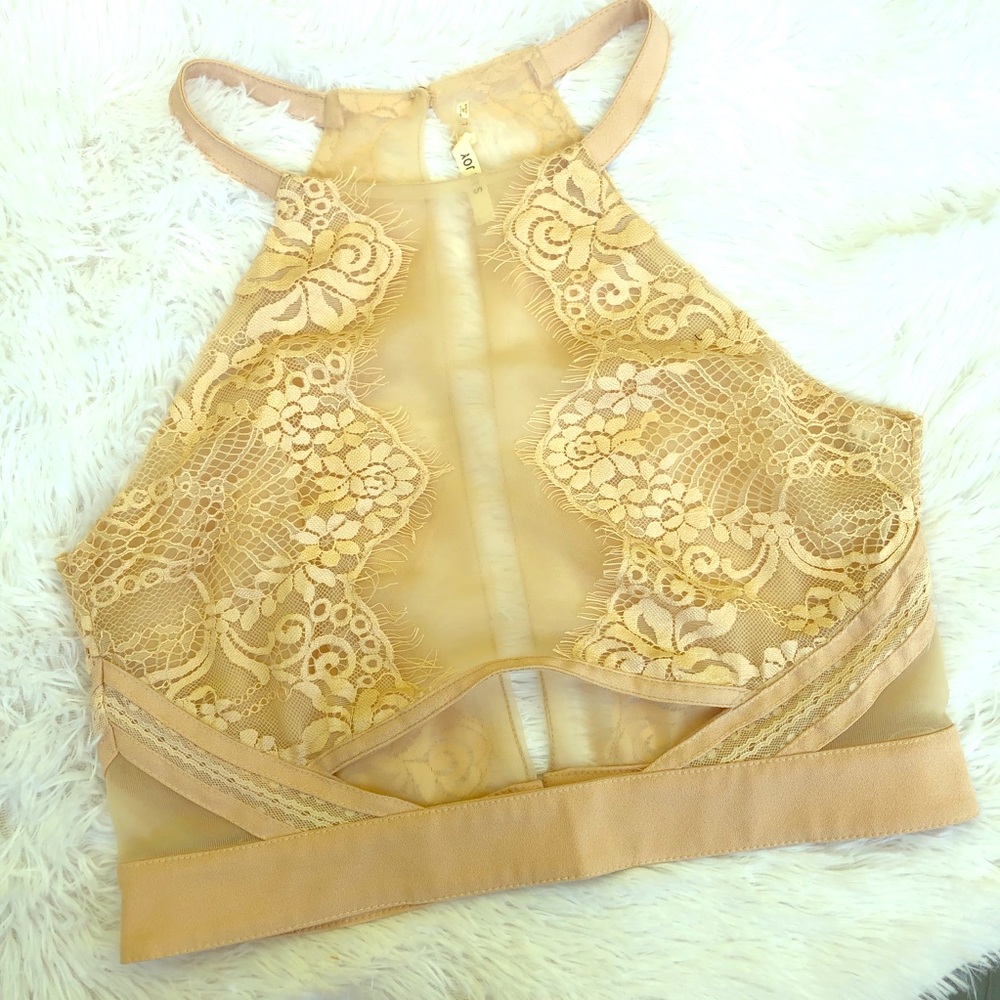 ANGL Lace and Mesh Crop Top